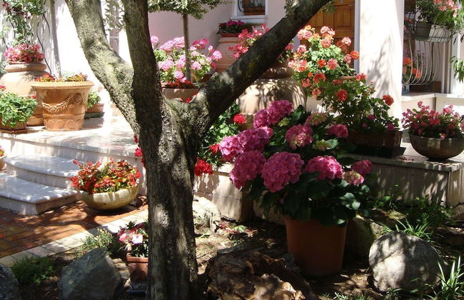 Appartamenti America - Foto 44