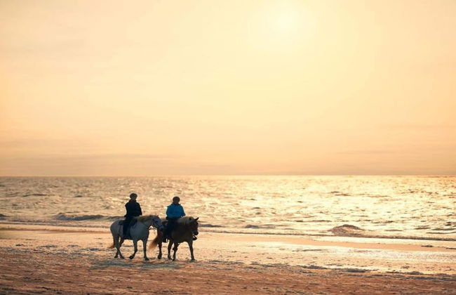 Studio in Domburg Near Beach and Golf - Photo 40