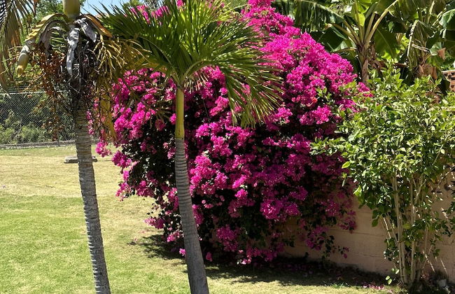 Remarkable 1-bed Apartment in Montego Bay - Photo 24