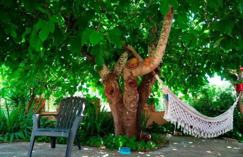 Imperio de Memorias - Casa de Campo - Foto 9