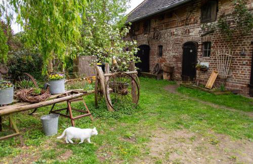 StorchenHof - Foto 21