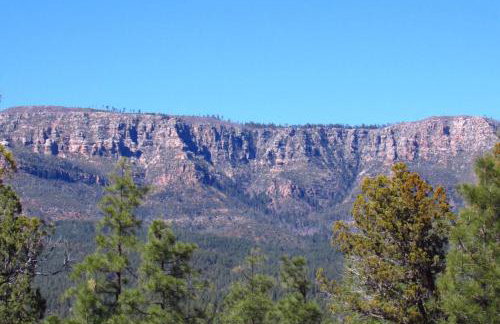 Forest Cabin 3 Bear's Den - Photo 24