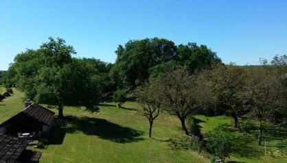 La Noyeraie Rocamadour - Foto 5, Garden, Garden view