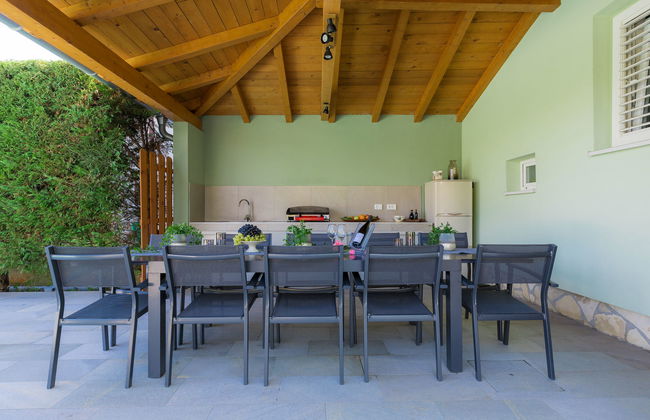 Salamander - Foto 25