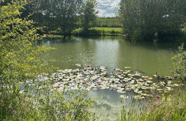 Woodlands Luxury Lake Log Cabin - Vetiver Villa - Foto 30