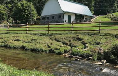 Petting Zoo! Hot Tub, 15 acres, stream & Romance! - Foto 11
