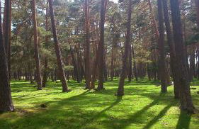 Casa Rómulo - Foto 35