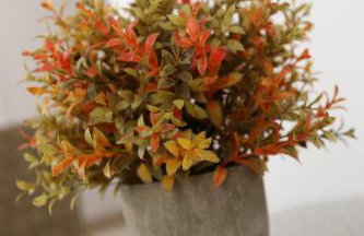 CASA VERDE Comfortable Air-Conditioned Modern Apartments - Foto 41