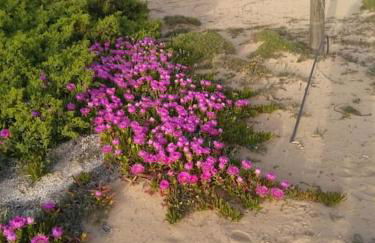 Casa Sofia: comodi e tranquilli - Foto 28