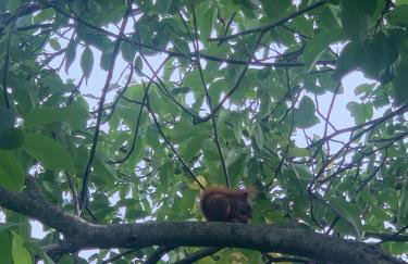 Ferienwohnung am Netzener See - Foto 12