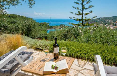 Bougainvillea - Foto 27