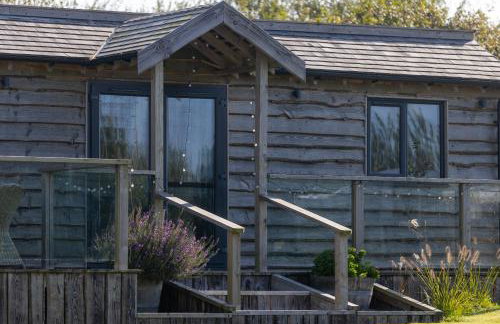 The Pig Arc - Foto 70