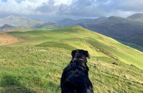 Granary Retreat for 2 inc shared Dog Field - Foto 32