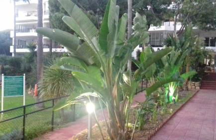 Mi Capricho - Photo 57