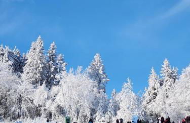 Haus Nina near Willingen and Winterberg - Foto 6