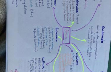 La « cabaneste » dans Arreau - Photo 51