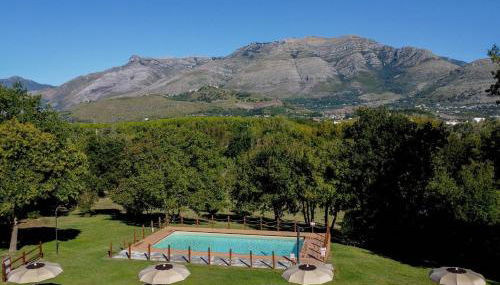 Livingapple - Foto 2