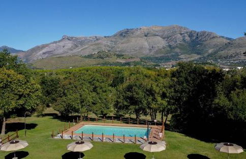 Livingapple - Foto 2