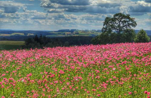 Emyda' s Tropical Home at Goldsteig trail - Foto 22