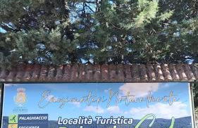 Villa Anna Palumbo Sila - Foto 10