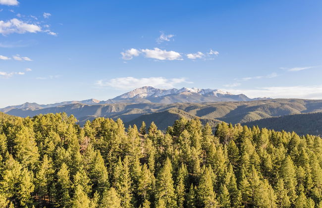 Paradise Cabin - Photo 79