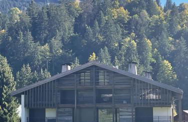 Chalet Esquinade 4 bedrooms appartment Megève - Foto 39