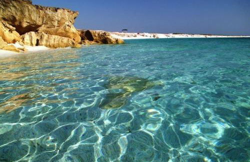 Near The Sea - Foto 68