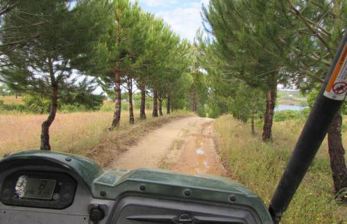 Monte da Tojeirinha - Foto 28