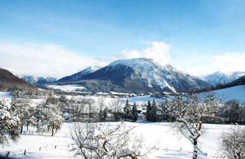 Dammerer Hof inkl. Chiemgaukarte - Foto 3