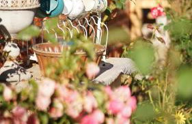 Ferienwohnung Alte Schule Chorin Schorfheide - Foto 26