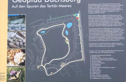 Ferienwohnung zwischen Wald und Reben - Foto 31