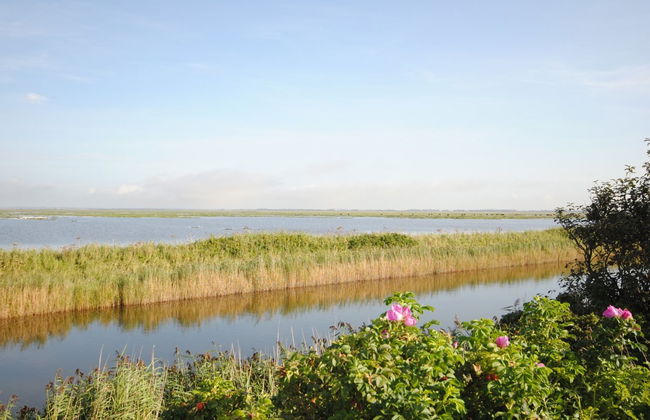 "Leocadia" - 150m to the fjord - Foto 3