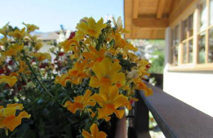 Chalet Casa al Poz - Foto 24