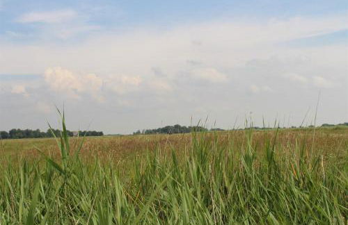 Ferienwohnung Lumme - Foto 19