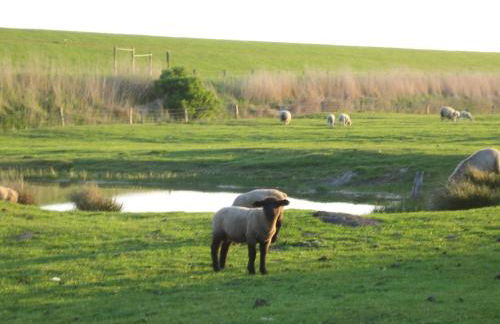 Haus Halligblick, Ferienwohnungen am Wattenmeer, Whg Hamburger Hallig - Foto 5