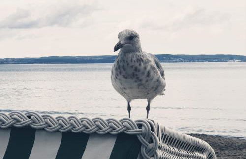 Insel Landhaus Feuerstein - Foto 69