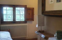 Stirpe nel Bosco - Fiocco - Foto 5