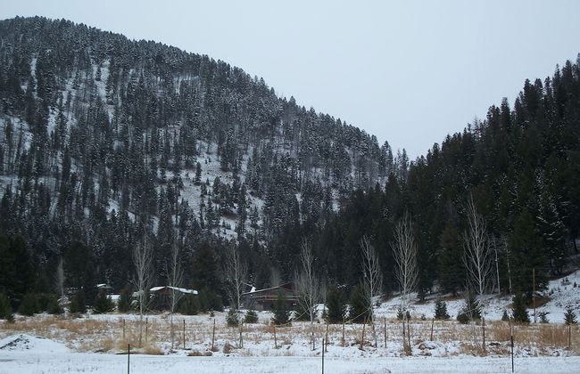 Terra Nova Cabins - Photo 26