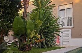 Vila Nogueira De Azeitao - Amaral's Guest Houses - Foto 40