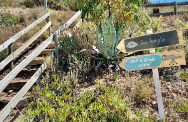 Herdade d'Amoreira Rosmaninho Studio - Foto 49