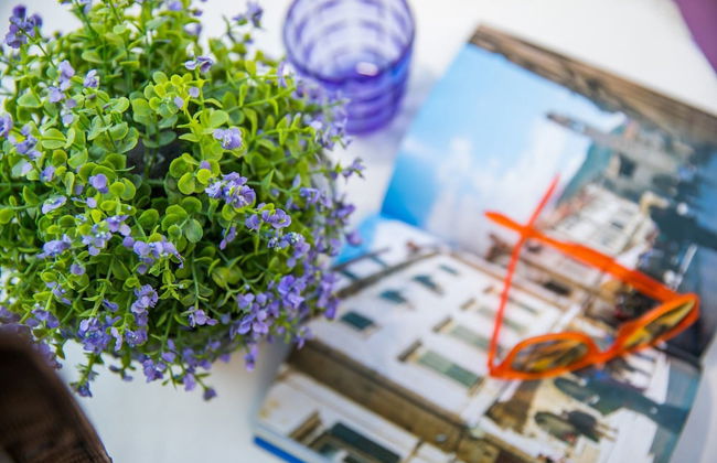 Apartment 3 Beaches With Free Parking - Photo 33