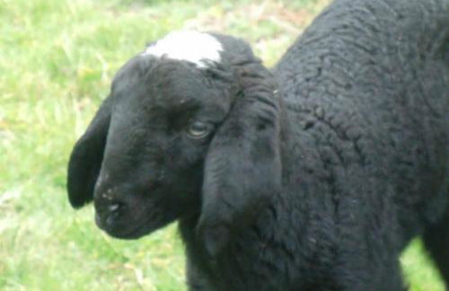 Agriturismo Piccolo paradiso - Foto 62