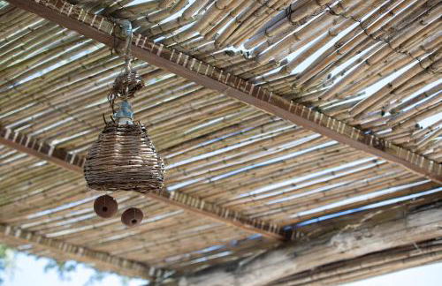 Pajara Rugiada - Foto 32