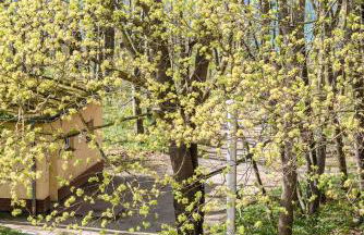 At the beach - Traumhafte Wohnung mit Sauna - 100m vom Strand - Foto 44