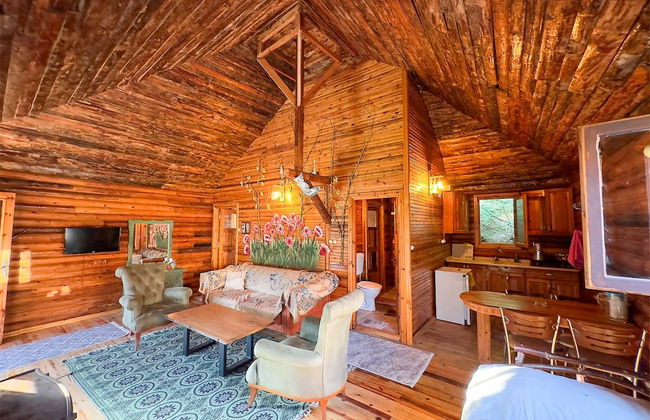 Aynştayn Chalet - Photo 1