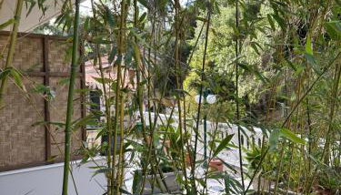 Almyra Living - Adults Only - Foto 3