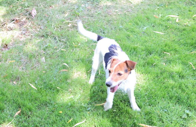 Holiday Home Heinrich - Photo 2