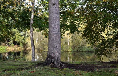 Lakewood retreat - Foto 18