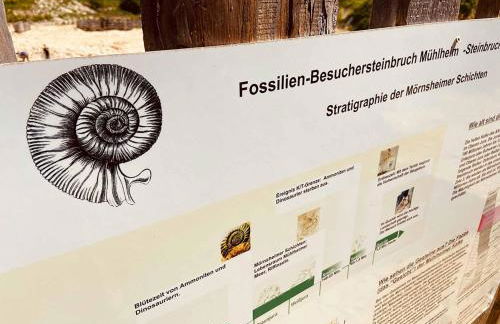 Gemütliche Ferienwohnung Monheim - Foto 35