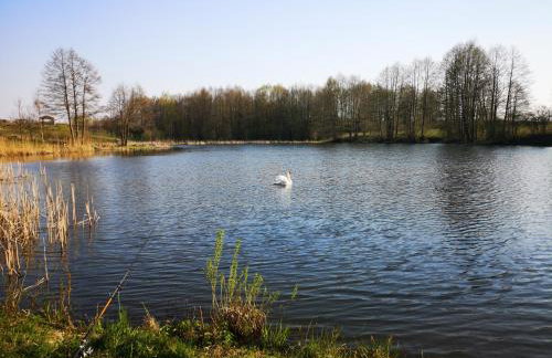 Mazurski Staw - Foto 24